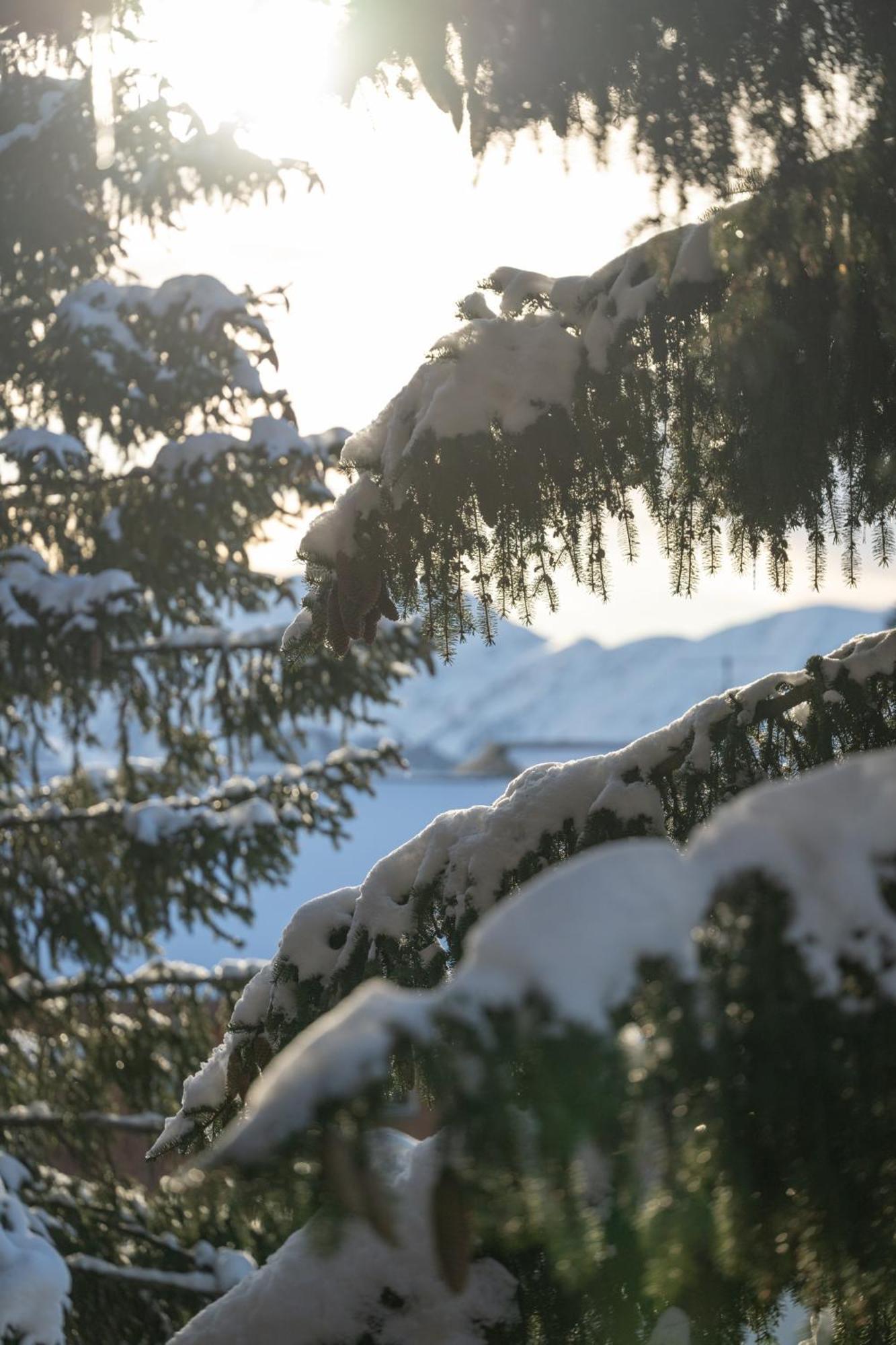Chalet Alpe D'Huez 1850-Sea And Mountain Pleasure Avec 2 Appartements- 1 Appartement 3 Chambres 8 Couchages - 3 Salles D'Eau Et 1 Appartement 5 Chambres 12 Couchages 5 Salles D'Eau - Jacuzzi Et Sauna -Pieds Des Pistes Et Centre Екстер'єр фото