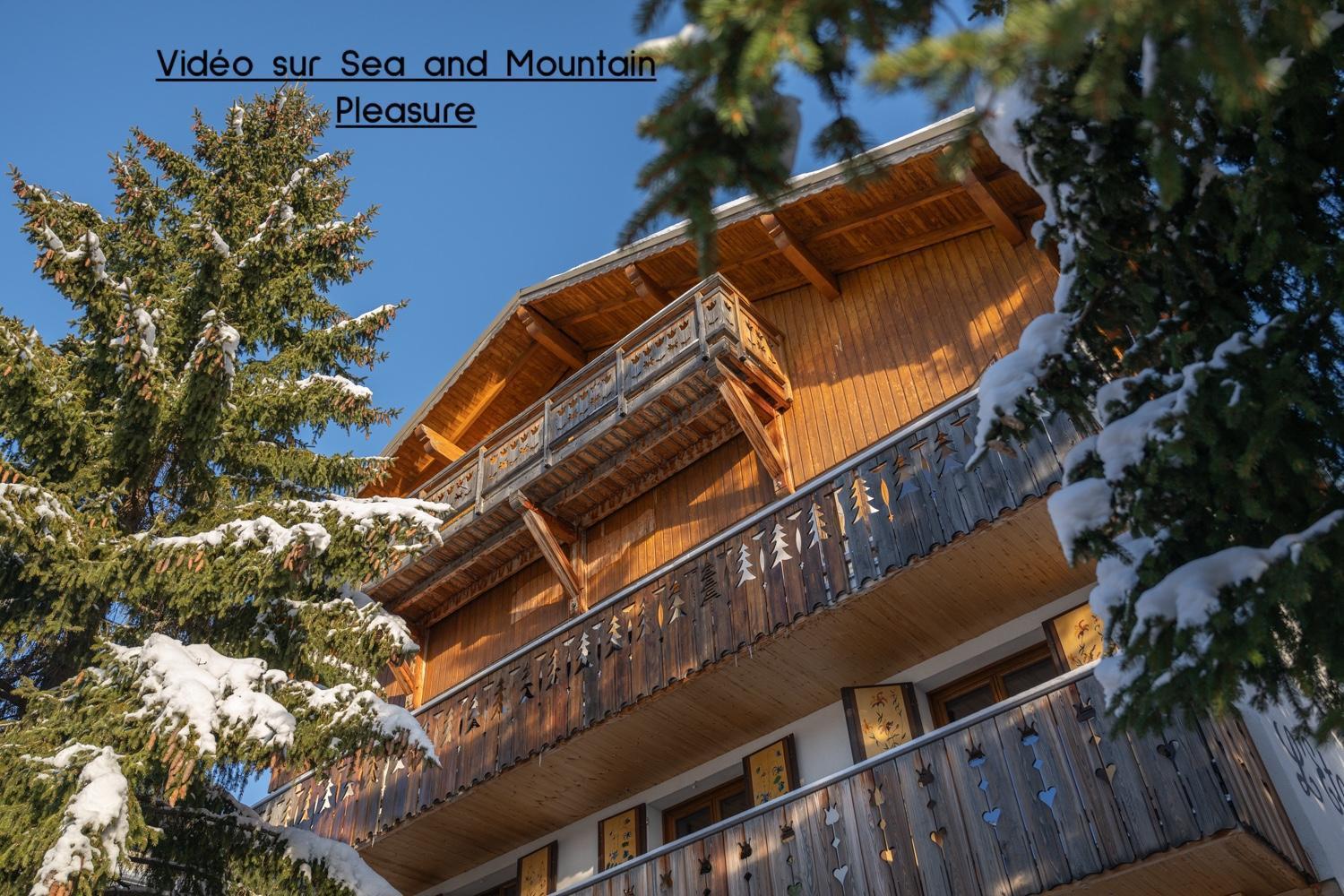 Chalet Alpe D'Huez 1850-Sea And Mountain Pleasure Avec 2 Appartements- 1 Appartement 3 Chambres 8 Couchages - 3 Salles D'Eau Et 1 Appartement 5 Chambres 12 Couchages 5 Salles D'Eau - Jacuzzi Et Sauna -Pieds Des Pistes Et Centre Екстер'єр фото