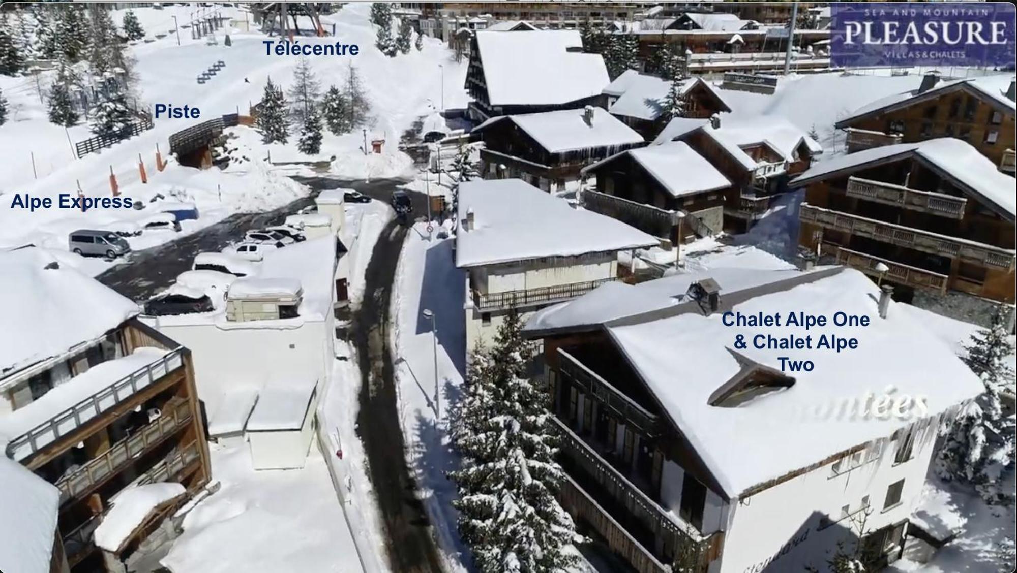 Chalet Alpe D'Huez 1850-Sea And Mountain Pleasure Avec 2 Appartements- 1 Appartement 3 Chambres 8 Couchages - 3 Salles D'Eau Et 1 Appartement 5 Chambres 12 Couchages 5 Salles D'Eau - Jacuzzi Et Sauna -Pieds Des Pistes Et Centre Екстер'єр фото